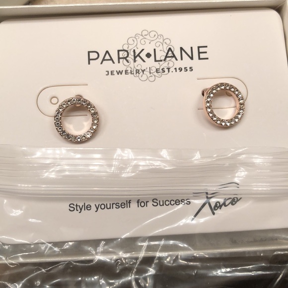 Park Lane Accessories - NEW park lane earrings